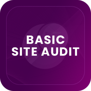 basic-site-audit